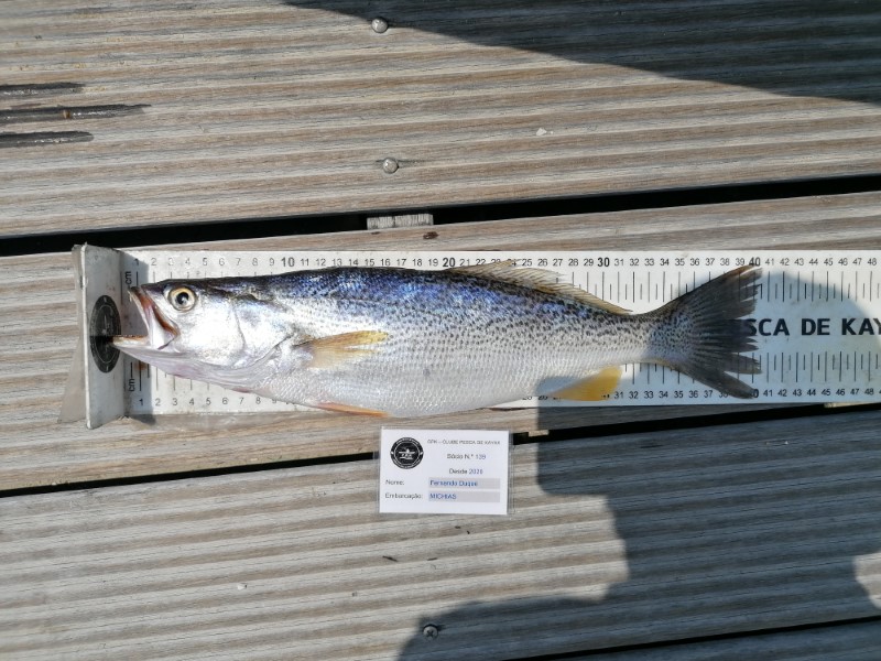Fish Measure Picture