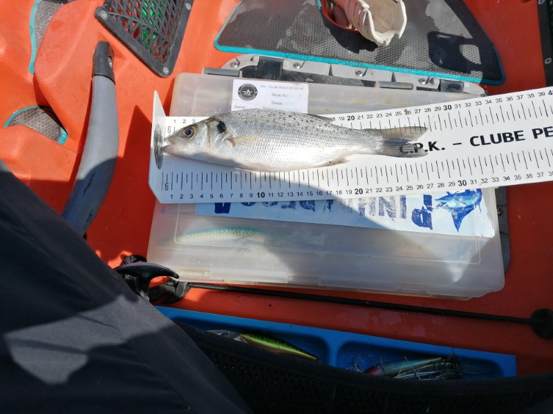 Fish Measure Picture