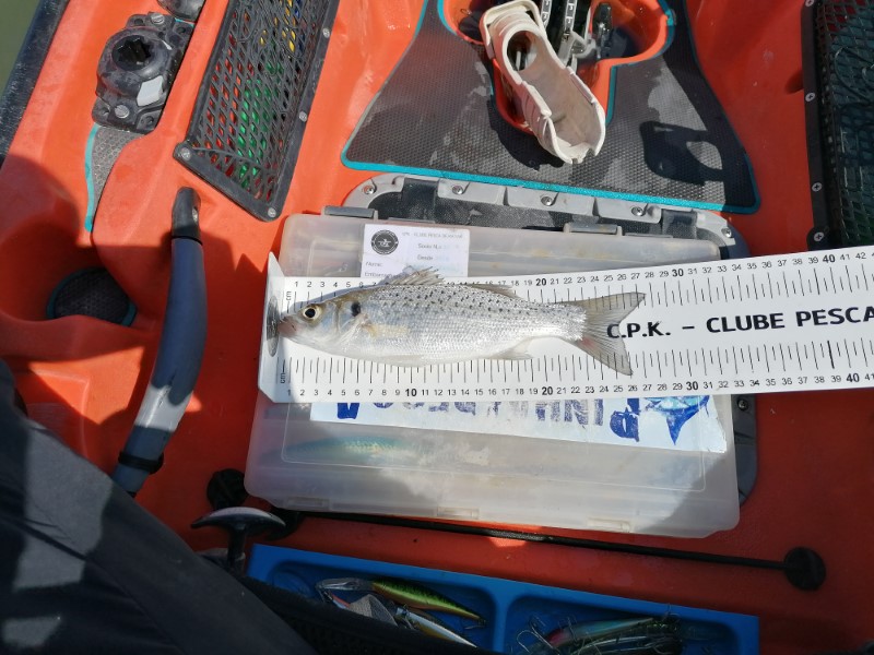 Fish Measure Picture