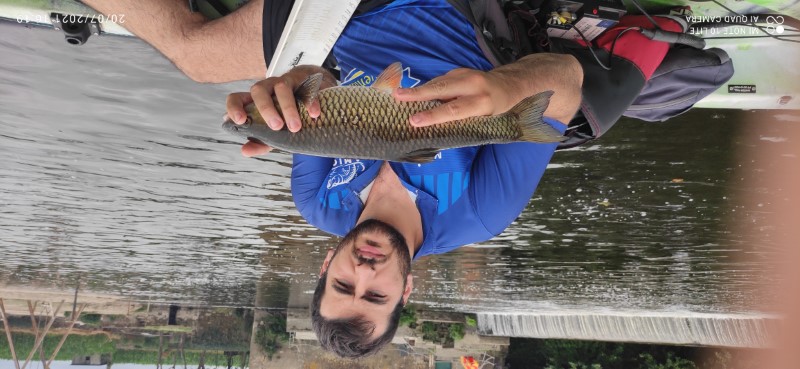 Fish Profile Picture