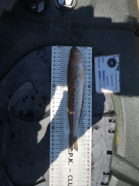 Fish Measure Picture