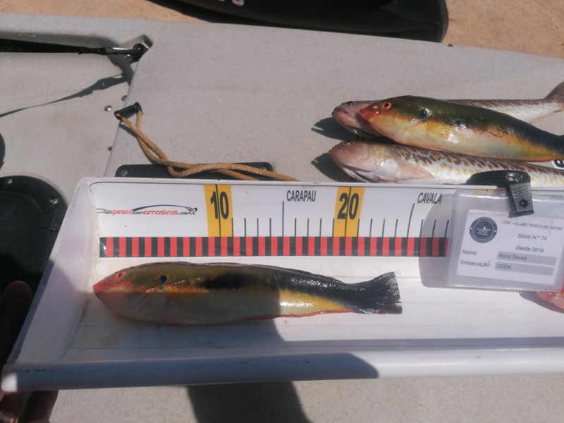 Fish Measure Picture