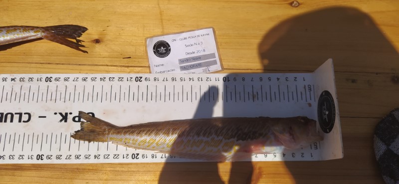 Fish Measure Picture