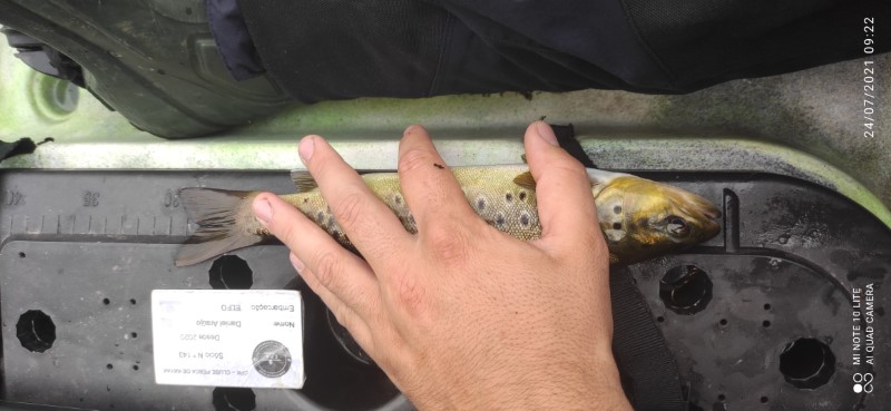 Fish Measure Picture