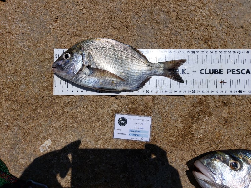 Fish Measure Picture