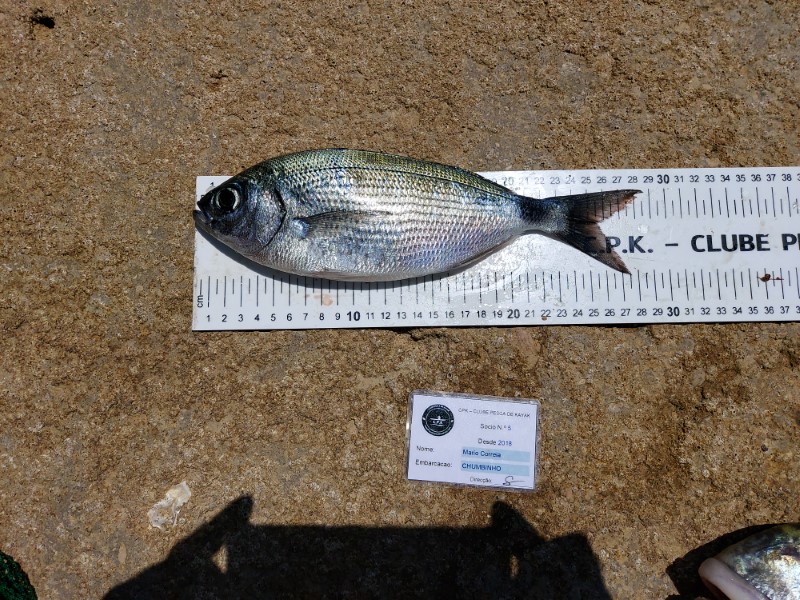 Fish Measure Picture