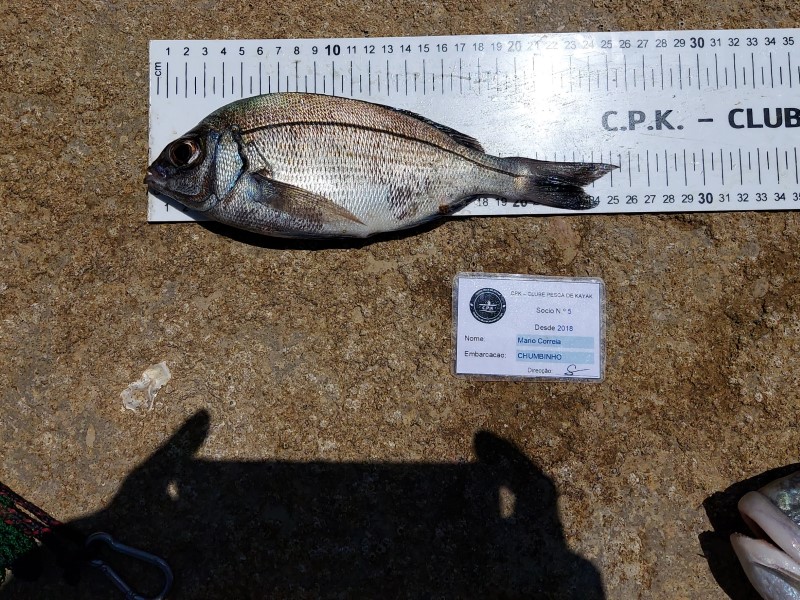 Fish Measure Picture