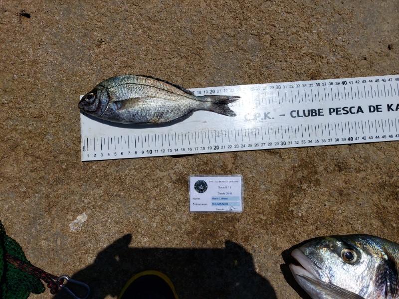 Fish Measure Picture