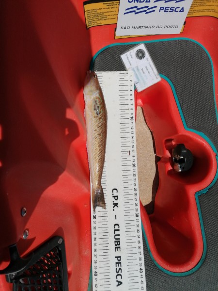 Fish Measure Picture