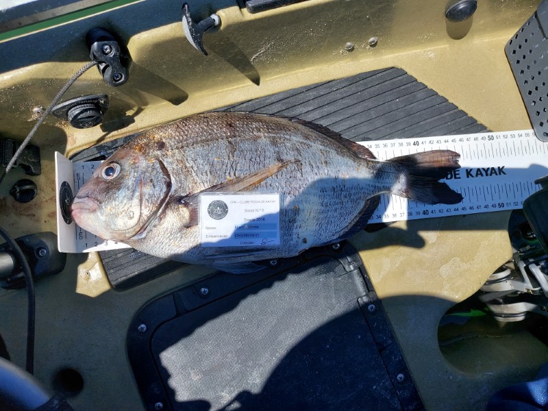 Fish Measure Picture
