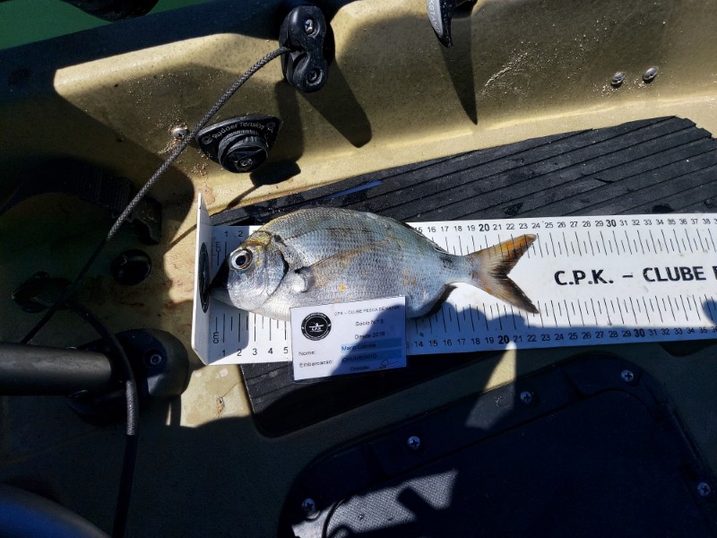Fish Measure Picture