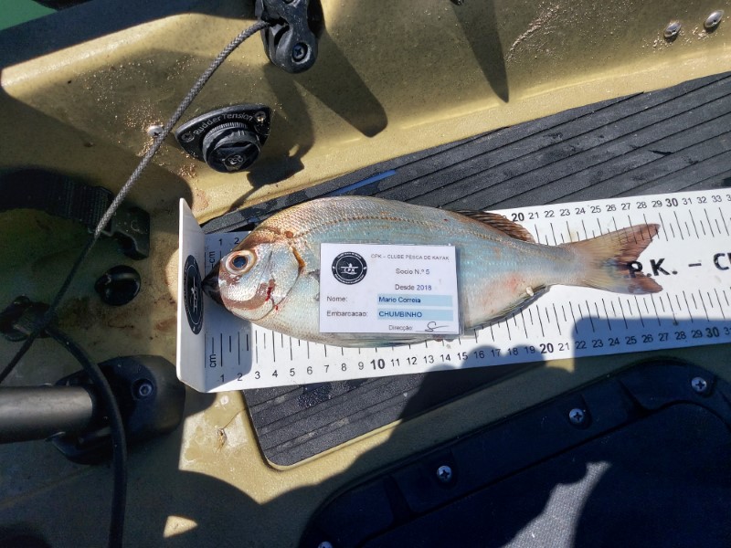 Fish Measure Picture