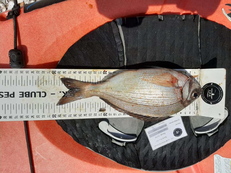 Fish Measure Picture