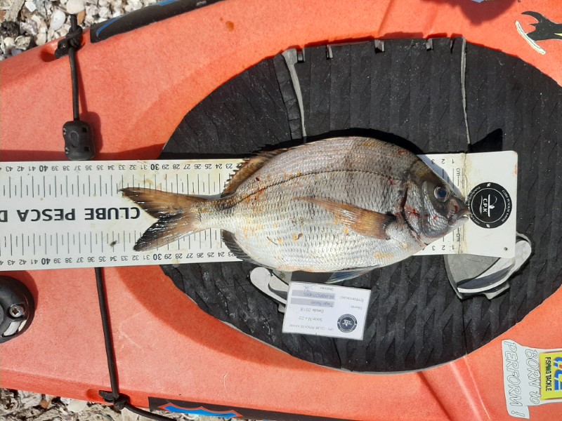 Fish Measure Picture