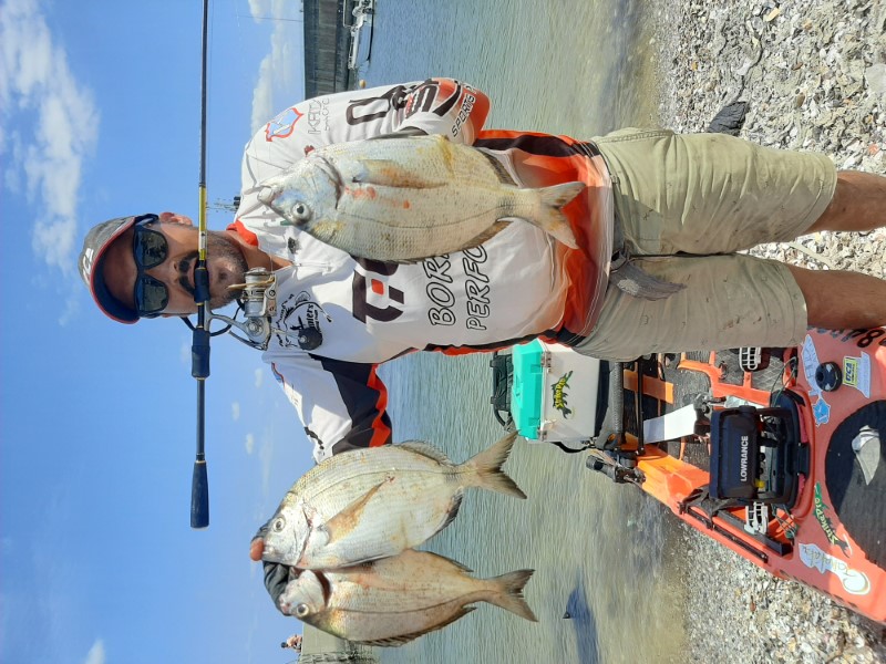 Fish Profile Picture