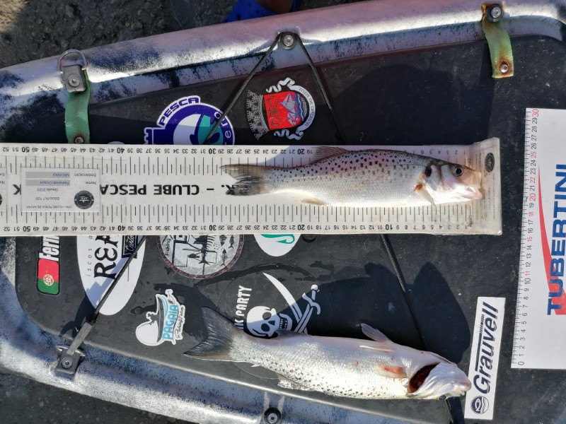 Fish Measure Picture
