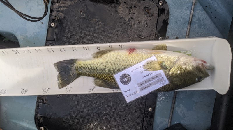 Fish Measure Picture