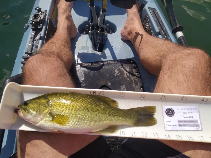 Fish Measure Picture