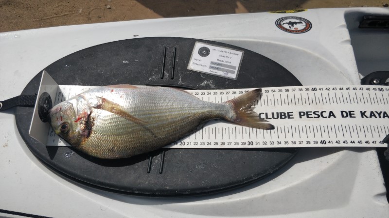 Fish Measure Picture