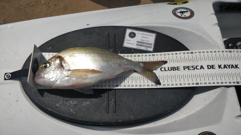 Fish Measure Picture