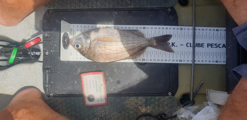 Fish Measure Picture