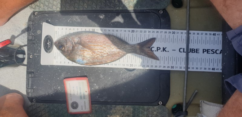 Fish Measure Picture
