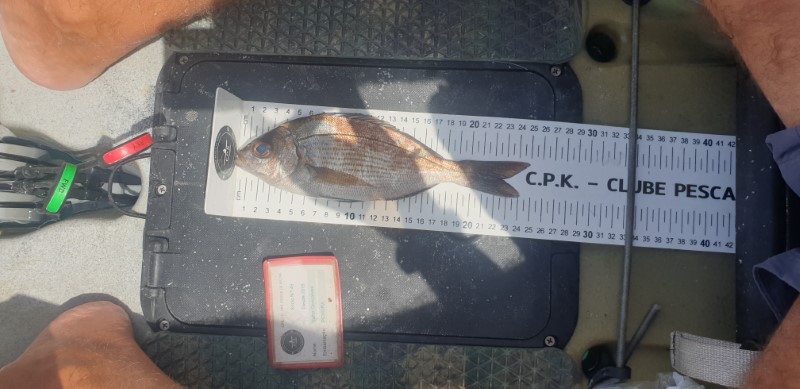 Fish Measure Picture