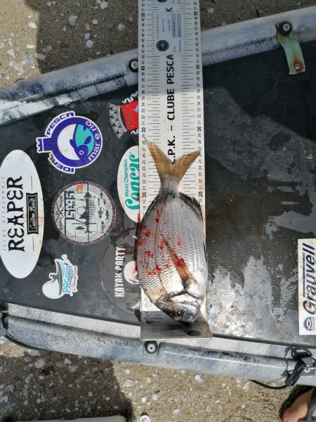 Fish Measure Picture