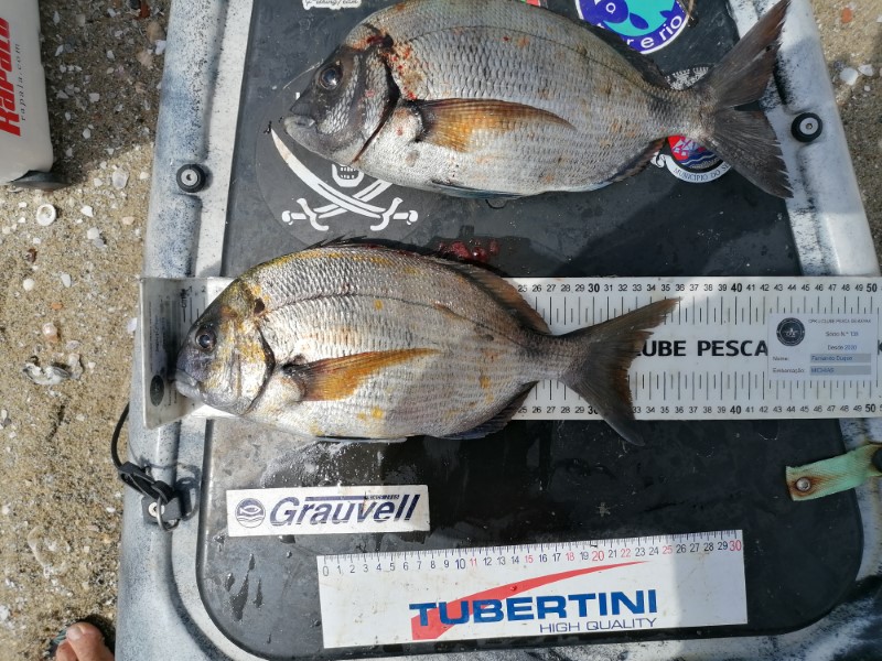 Fish Measure Picture