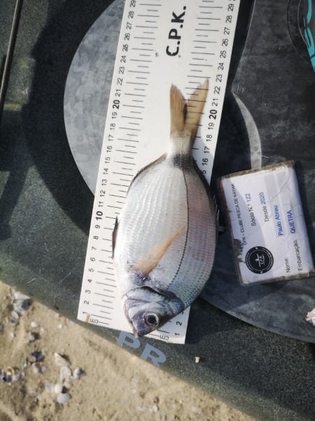 Fish Measure Picture