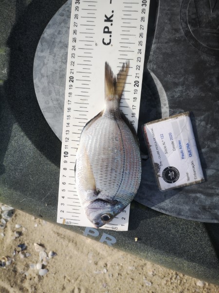 Fish Measure Picture