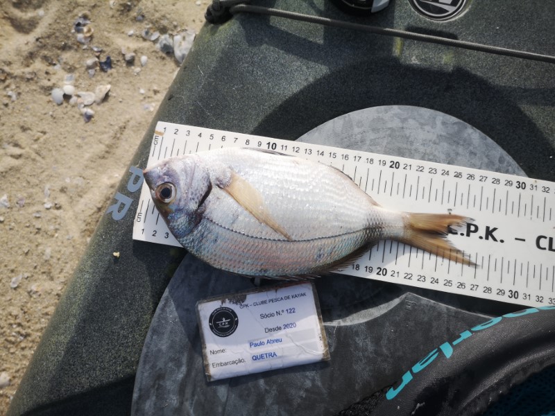 Fish Measure Picture