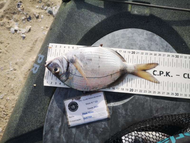 Fish Measure Picture