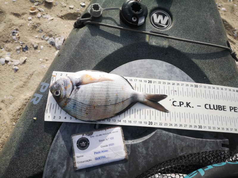 Fish Measure Picture