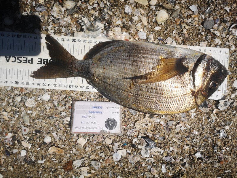 Fish Measure Picture