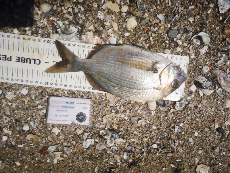 Fish Measure Picture
