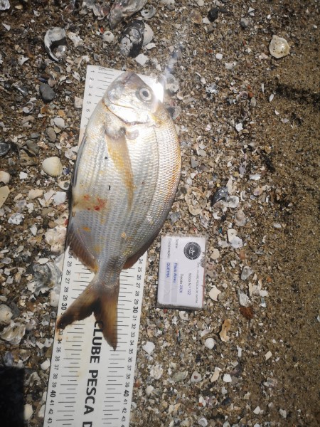 Fish Measure Picture