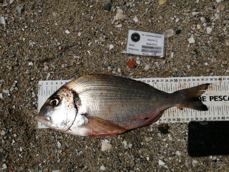 Fish Measure Picture
