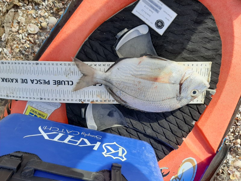 Fish Measure Picture