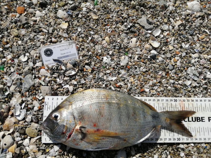 Fish Measure Picture