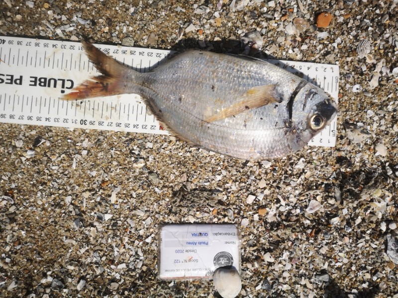 Fish Measure Picture