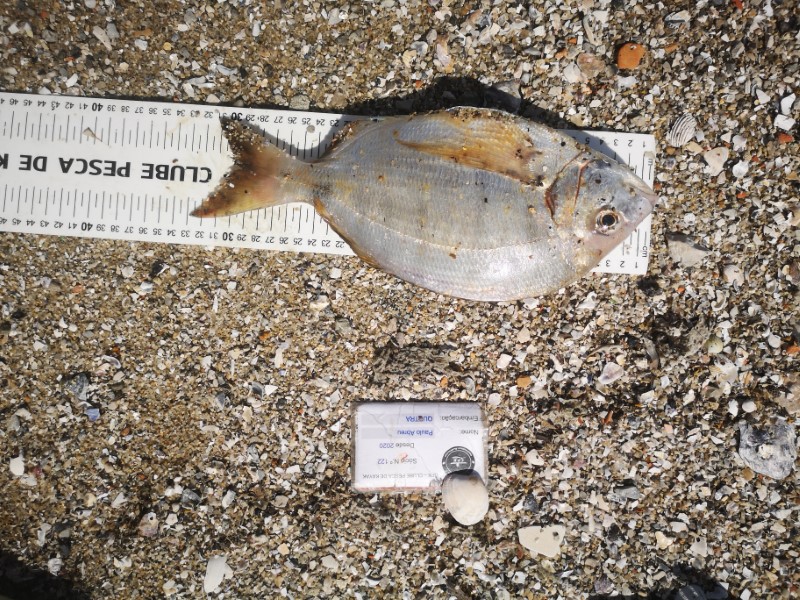 Fish Measure Picture