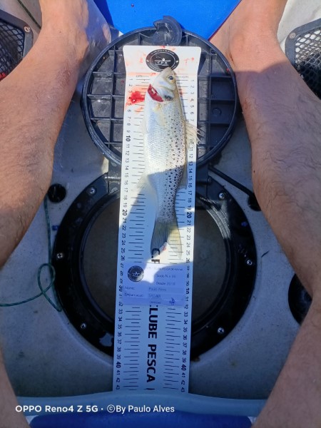 Fish Measure Picture