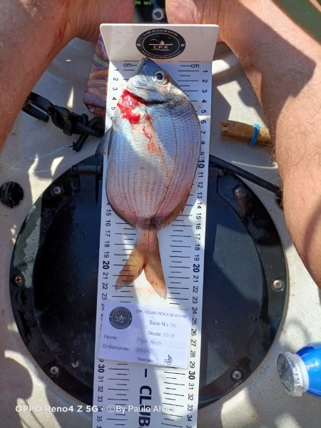 Fish Measure Picture