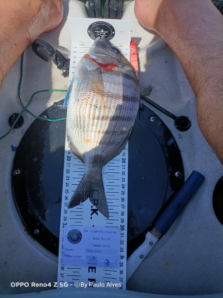 Fish Measure Picture