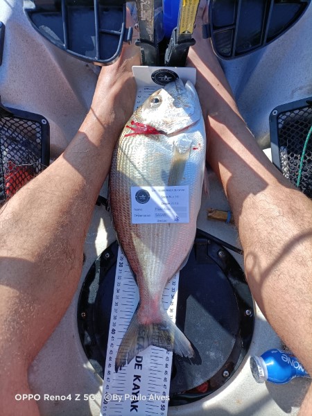 Fish Measure Picture