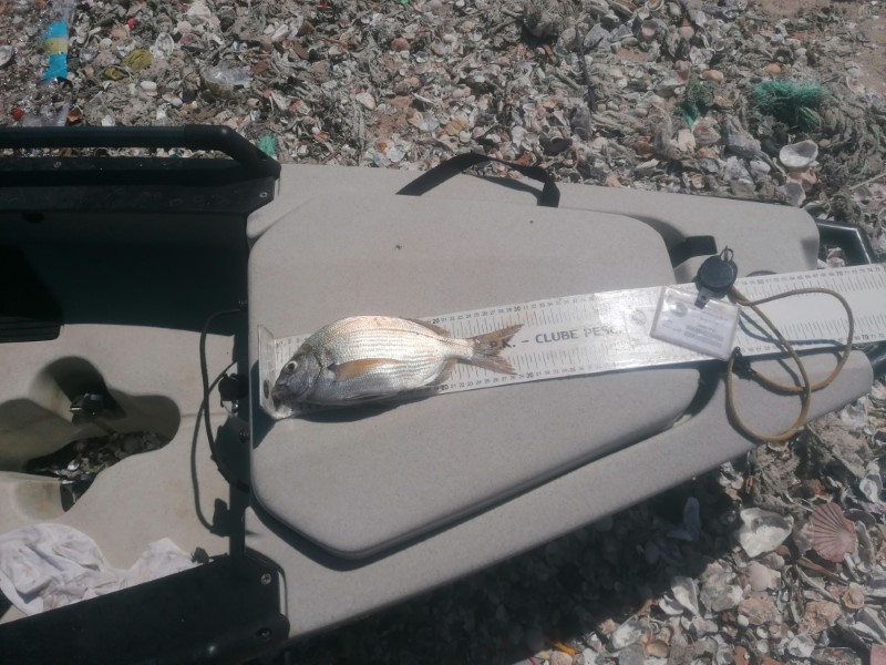 Fish Measure Picture