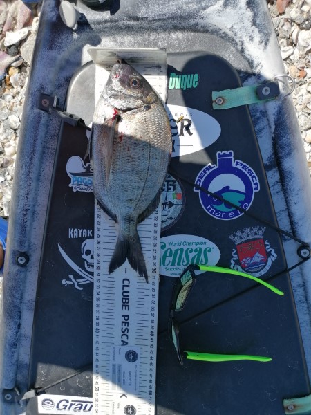 Fish Measure Picture
