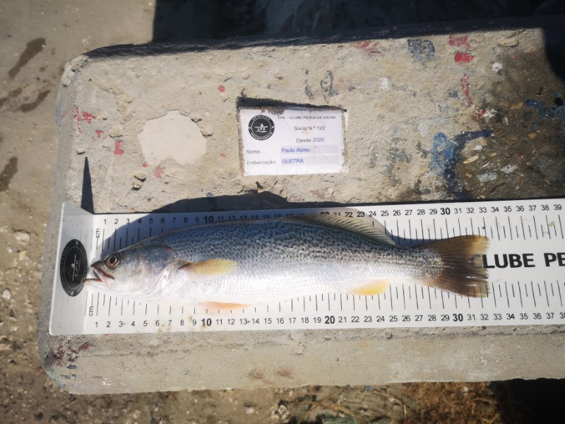 Fish Measure Picture