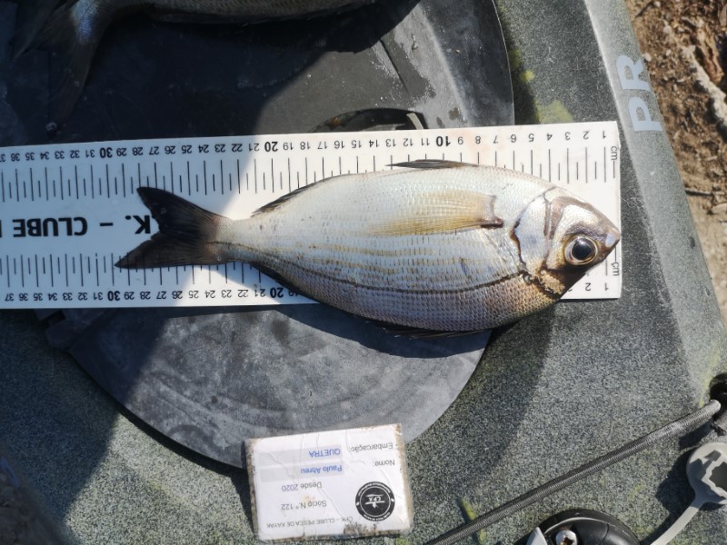 Fish Measure Picture